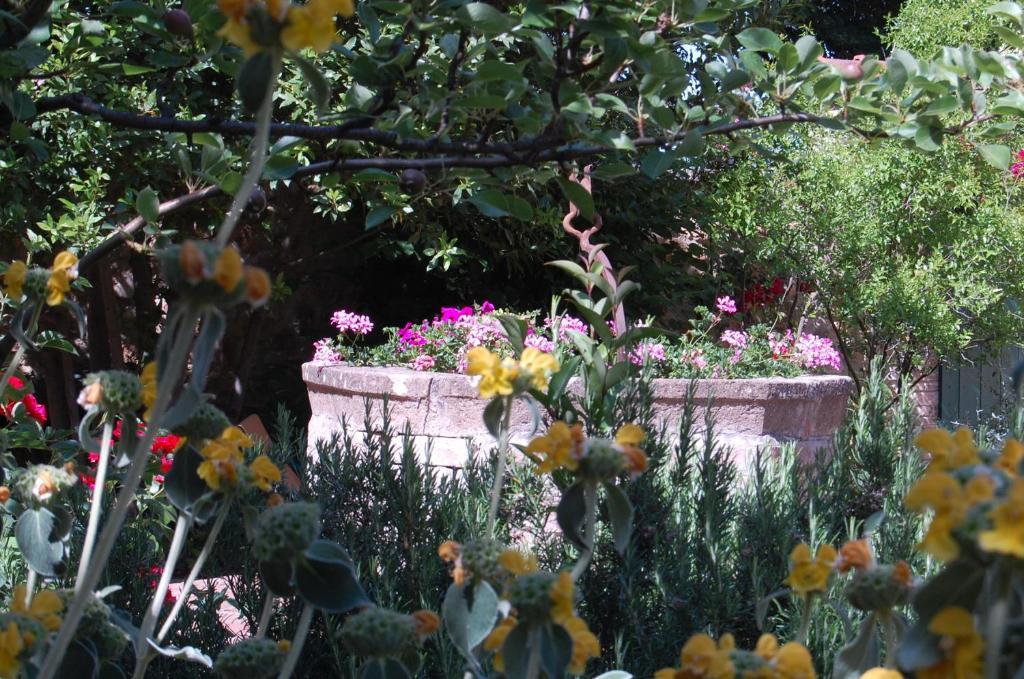 Il Giardino Segreto Hotel Pienza Exterior foto